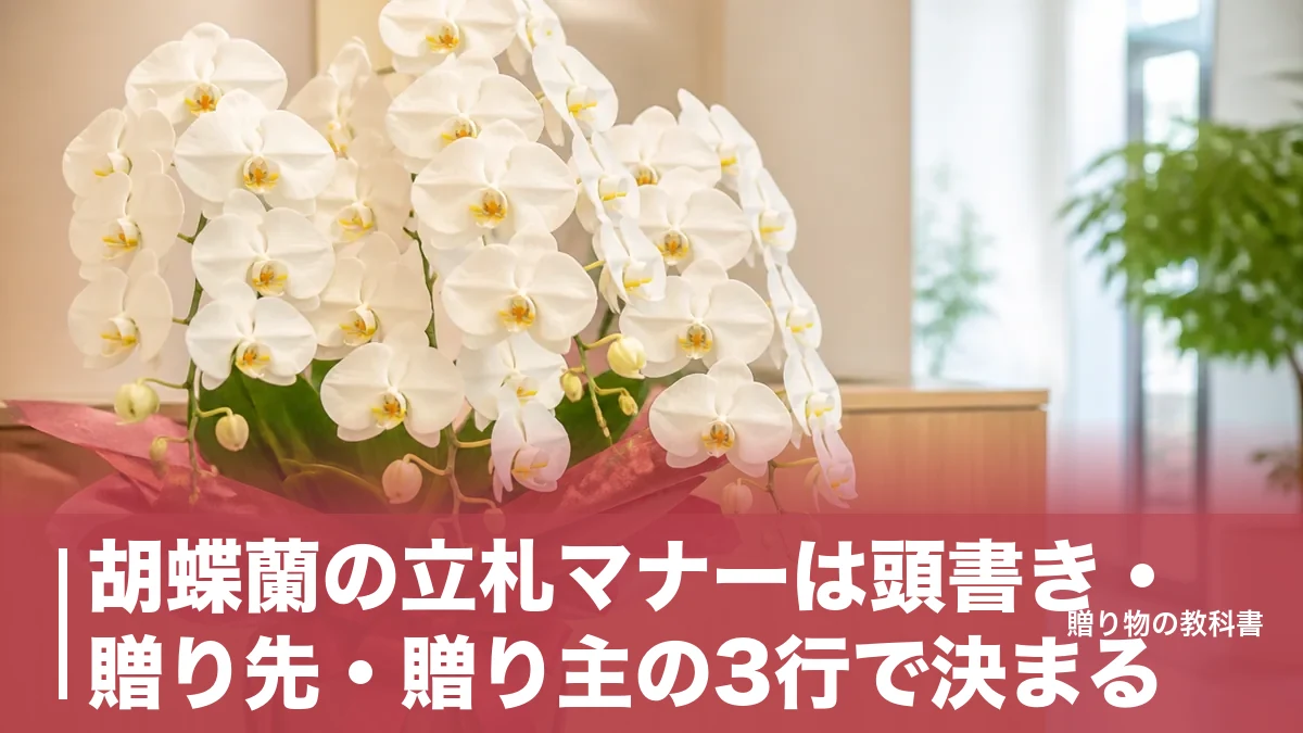 胡蝶蘭の立札マナーは頭書き・贈り先・贈り主の3行で決まる|シーン別文例と外す時期のアイキャッチ画像